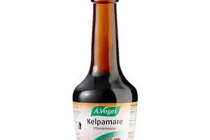 KELPAMARE A.VOGEL
